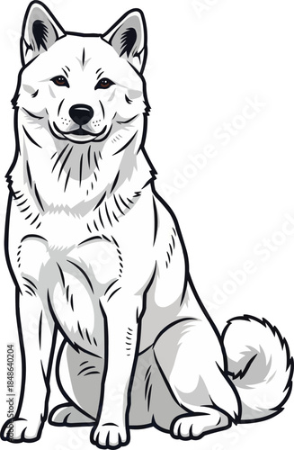 Kishu Ken dog sitting upright attentive facing front pose