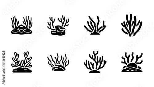 Collection of coral icons in silhouette style: marine life elements for design