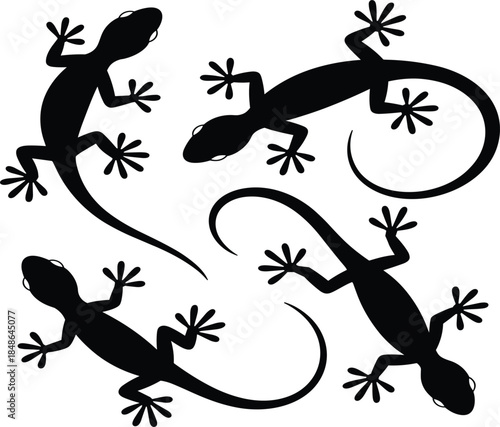 Set of black lizard silhouettes in various crawling poses, exotic reptile wildlife vector illustration for nature design