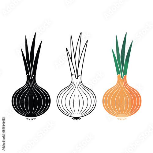 Three onions in different color schemes black white and colorful