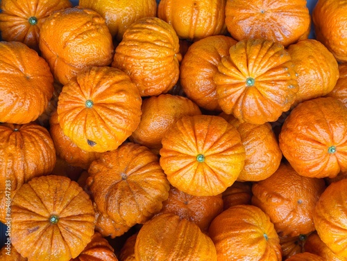 Pumpkin Oranges or Pumpkin Mandarins. Fall Season. Autumn Season. Halloween