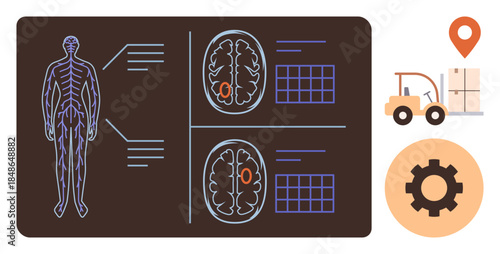 Diagram of nervous system and brain scans with forklift, map pin, warehouse box, and gear. Ideal for healthcare, science, logistics, industrial research education and innovation. Simple flat