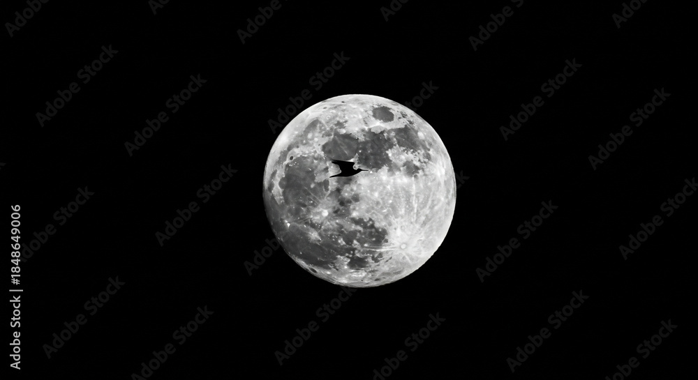 Obraz premium Moon closeup night sky space lunar surface astronomy