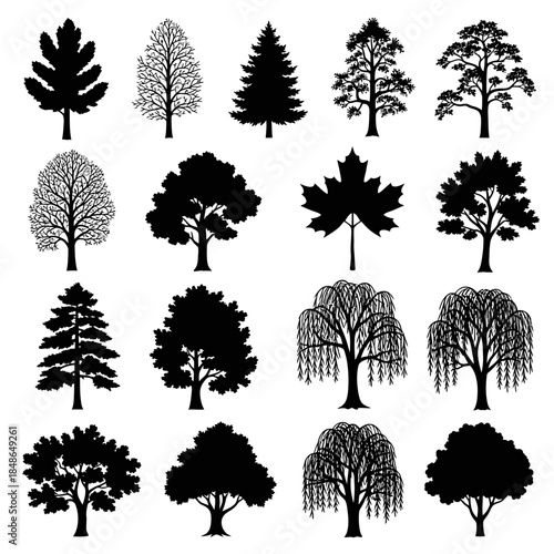 Collection of diverse tree silhouettes for design and decoration