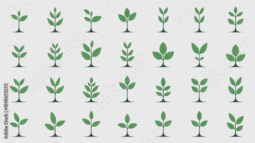 Collection of various green plant illustrations with different leaf shapes and sizes, isolated on
