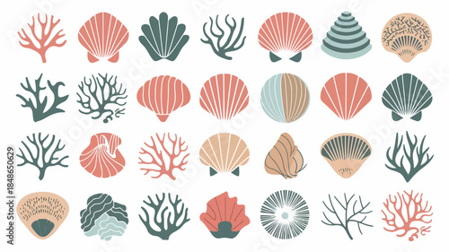 Colorful collection of various seashells and coral illustrations in flat design style