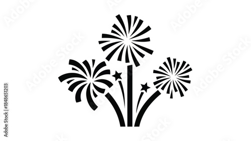 Black and white firework display with star accents detailed silhouette