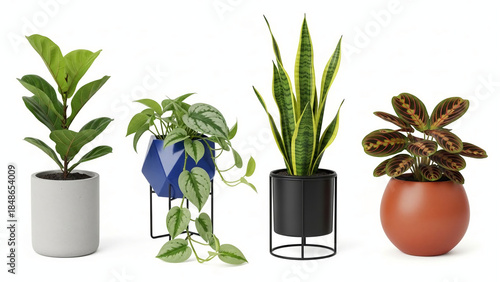 Set of diverse potted houseplants in modern decorative planters ideal for interior design home decor or office spaces isolated on white background