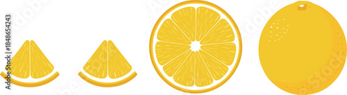 Set of flat vector illustrations depicting various stages of a citrus fruit, including a whole orange, a half-cut cross-section slice, and two quarter-slices, for food and vitamin concepts
