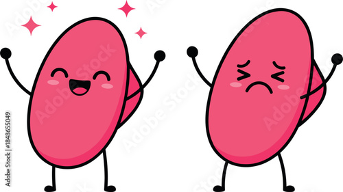 Cute cartoon vector illustration comparing two kidney-shaped characters, one happy and successful, the other sad and frowning, symbolizing emotional contrast or pill efficacy