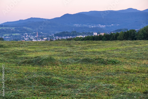Wide green meadow with mown green grass and distant hills under a calm summer sky.