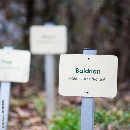 boards at a herb garden