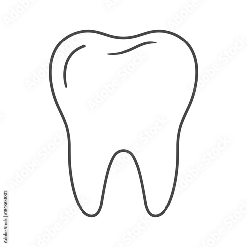 Illustration of a single tooth Vector
