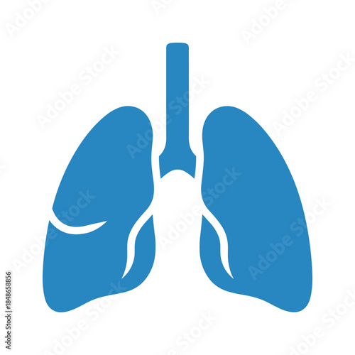 Human lungs illustration Vector
