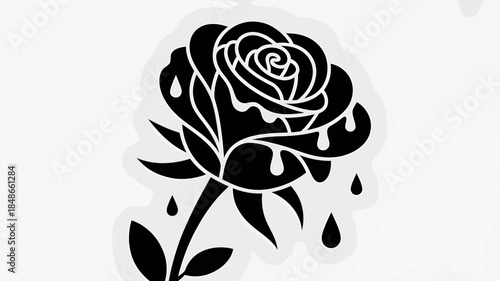 abstract floral background,Black Rose with Tears on White Background