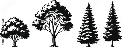 Tree silhouettes collection with deciduous and pine shapes, black vector forest elements for nature design, landscape illustration, branding projects