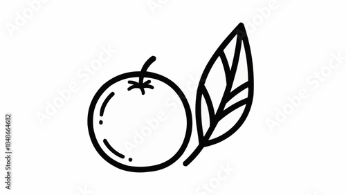 Simple Line Art Icon of an Orange with a Leaf.