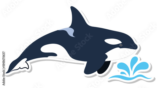 dolphin jumping isolated on white background