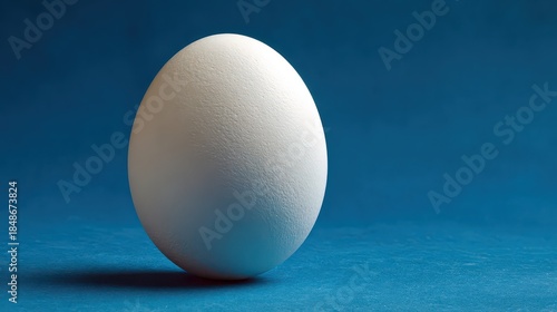 Single White Egg with Textured Shell Isolated on Blue Background in Studio Lighting