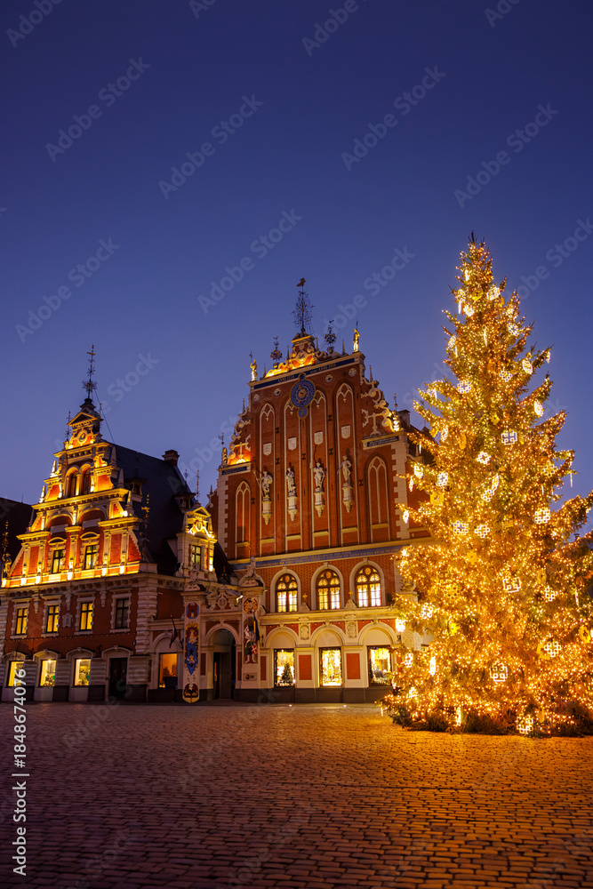 Fototapeta premium Christmas tree in front of the House of the Black Heads, Riga, Latvia
