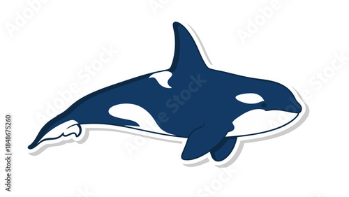 dolphin isolated on white background