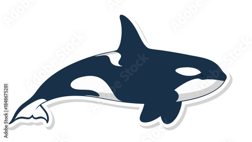 dolphin isolated on white background