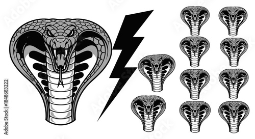 Black and White Cobra Snake Heads.