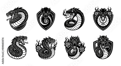 Collection of Black and White Dragon Illustrations.