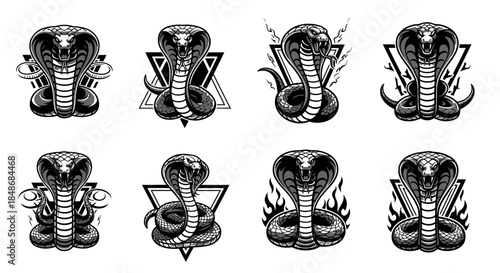 Collection of Cobra Snake Illustrations.