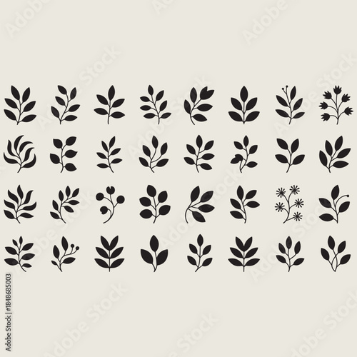 Collection of black and white leaf and plant arranged in a grid pattern nature