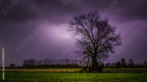 predictability. A solitary tree struck by lightning during a storm with dramatic sky. ESG reports, sustainability campaigns, designed for sustainability communications and ESG reporting.