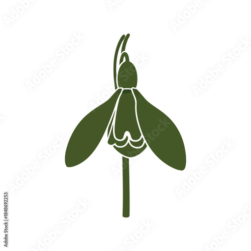 Elegant Green Snowdrop Flower Vector Design for Spring Seasonal Themes and Botanical Illustrations