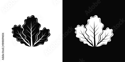 Stylized Leaf Outline Illustration Black and White