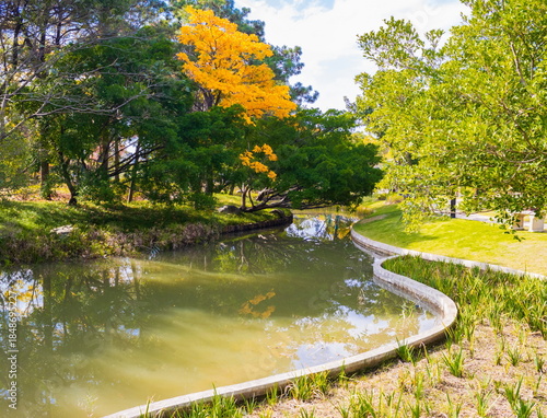 Autumn landscape of a Chinese park. China. Wenzhou.