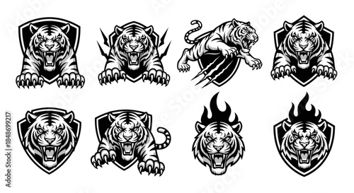 Tiger emblems in various illustration styles.