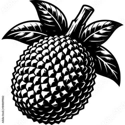 Vector illustration of a fresh tropical fruit with green leaves