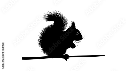 Silhouette of a Curious Squirrel Clinging to a Thin Branch in a Minimalist Black and White