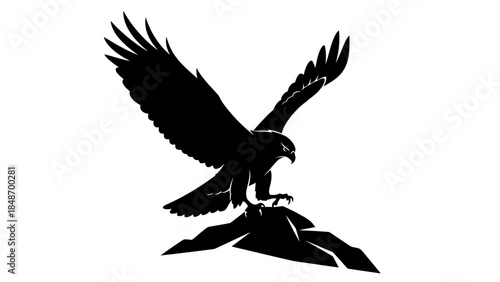 Silhouette of a soaring eagle perched on a rocky outcrop with wings fully extended capturing the
