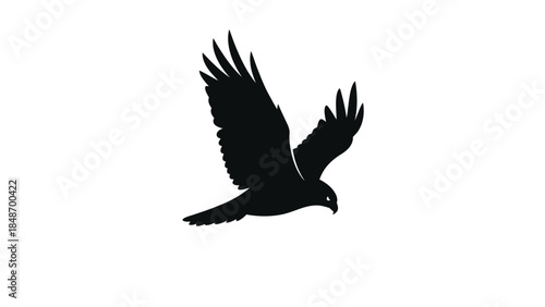 Silhouette of a soaring eagle in dynamic flight capturing wild avian freedom