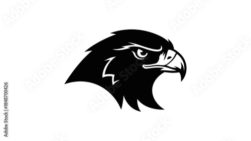 Bold black and white stylized eagle head logo emphasizing strength and agility