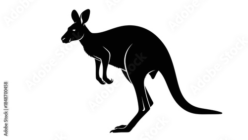 Minimalist Black and White Kangaroo Silhouette Illustration Displaying the Unique Anatomical