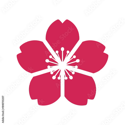 Vibrant Cherry Blossom Vector with Elegant Design for Seasonal Artwork and Celebrations