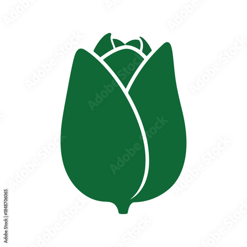 Elegant Green Rose Bud Vector Illustration for Floral Design, Weddings, and Nature-Themed Projects