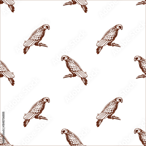 Seamless pattern with parrots. Vector illustration of birds for packaging, fabric printing, and pet store interior design.
