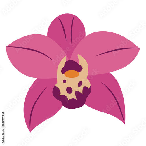 Vibrant Pink Orchid Vector Illustration. The design highlights the orchid's intricate petal structure.