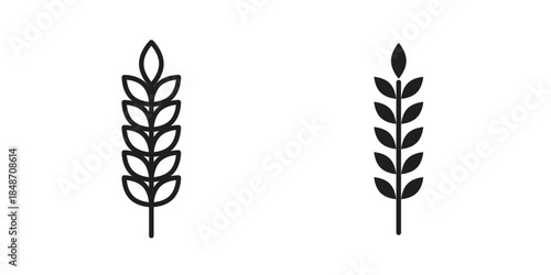 Wheat icon pictogram in trendy outline style. icon, sign or symbol.