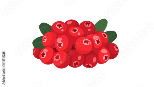 Cluster of Fresh Red Cranberries with Leaves.