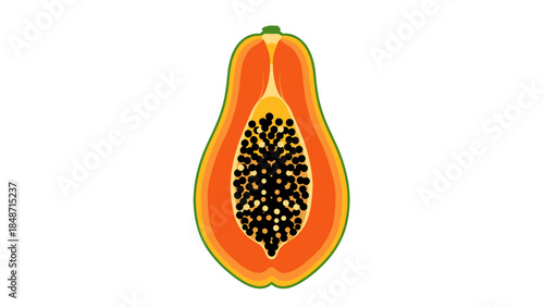 Detail ilustration papaya
