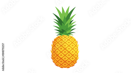 Ilustration of pineapple fruit