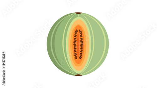 Cut Cantaloupe Melon with Seeds Inside.